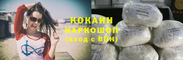 стаф Козельск
