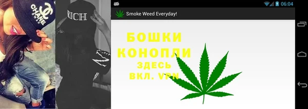 дмт Тавда