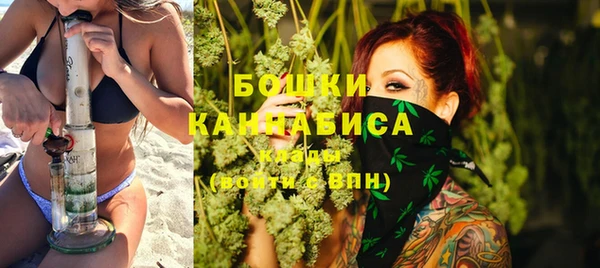 стаф Козельск