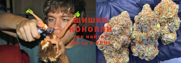 трава Снежногорск