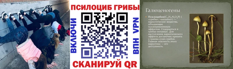 Псилоцибиновые грибы Magic Shrooms  Томмот 