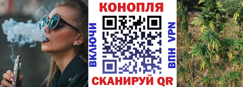 МАРИХУАНА план  наркота  Томмот 